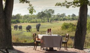 Selinda Explorers Camp | Botswana | The Ultimate Travel Company