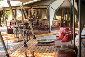 Selinda Explorers Camp | Botswana | The Ultimate Travel Company