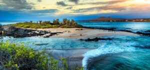 Beach in Galapagos Islands | Galapagos Islands | The Ultimate Travel Company