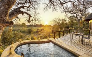 Lion Sands Tinga Lodge Plunge Pool | South Africa | The Ultimate Travel Company