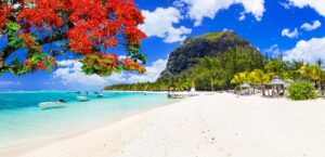 Tropical Beach | Luxury Mauritius Holidays | The Ultimate Travel Company