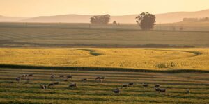 Nature Reserve at Bartholomeus Klip Farmhouse | South Africa | The Ultimate Travel Company
