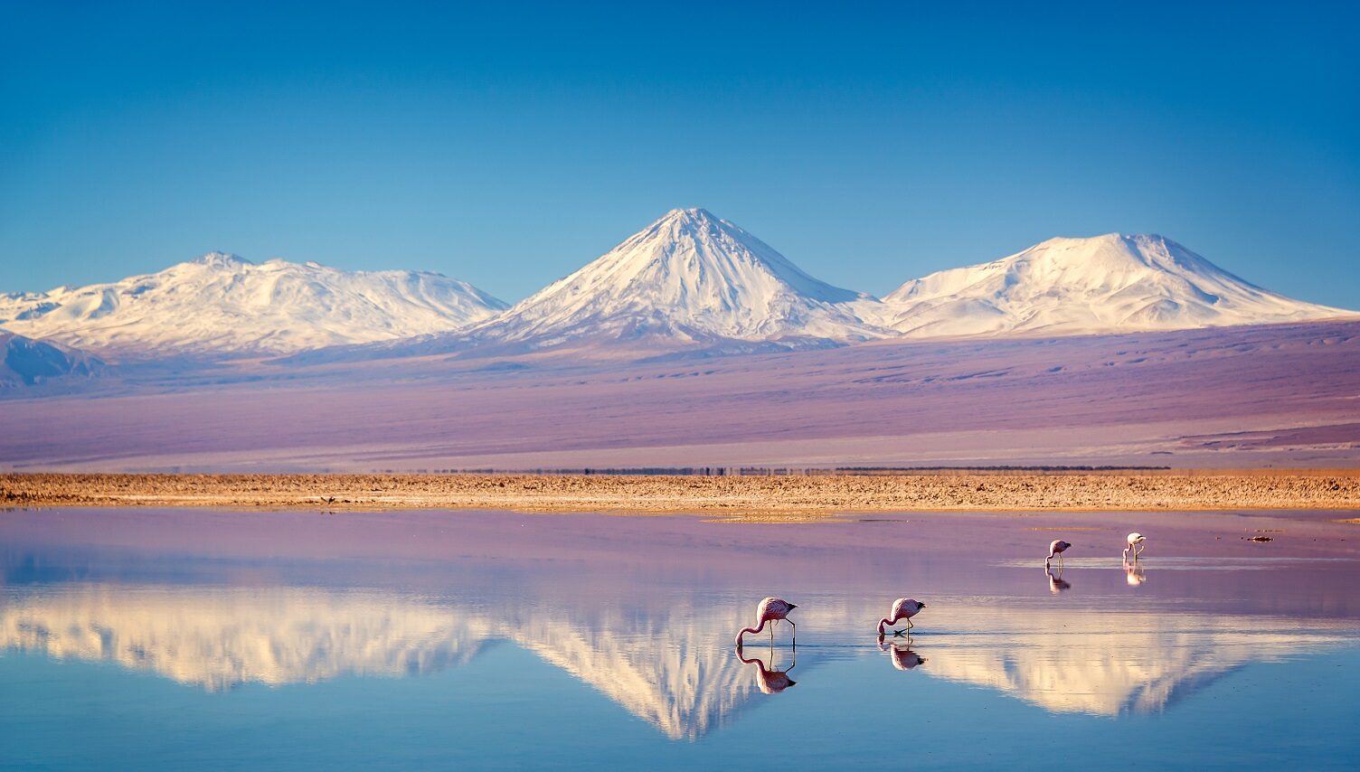 Snowy Licancabur Volcano in Andes Mountains | Chile | The Ultimate Travel Company