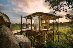 Lion Sands Lodges Treehouse | South Africa | The Ultimate Travel Company