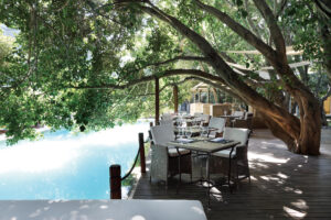 Fig Terrace Dining at The Saxon Hotel | Johannesburg | South Africa | The Ultimate Travel Company