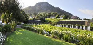 Picnic Lawn | Grande Roche Hotel | South Africa | The Ultimate Travel Company