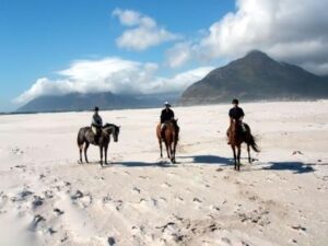 The Marine Riding | South Africa | The Ultimate Travel Company