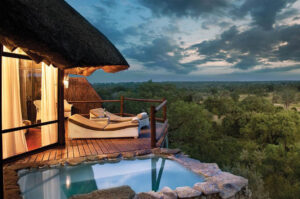 View of Sabi Sands at Leopard Hills Lodge | South Africa | The Ultimate Travel Company