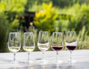 Wine Tasting in Stellenbosch | Cape Winelands | South Africa | The Ultimate Travel Company