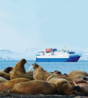 Copyright_Erik Edvardsson | Arctic | The Ultimate Travel Company