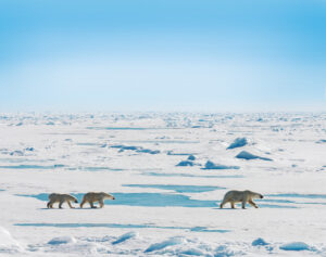 Copyright_KerstinLangenberger | Arctic | The Ultimate Travel Company