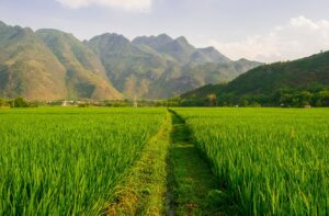 Green Fields with Mountains in Mai Chau | Vietnam Holidays | The Ultimate Travel Company