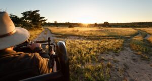 Safari Vehicle in South Africa | What to Pack for Safari and What Not To Pack for Safari | The Ultimate Travel Company