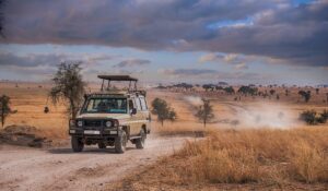 Game Drive in Serengeti National Park | Tanzania Safaris | The Ultimate Travel Company
