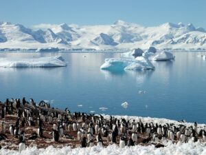 View of a Penguin Colony and Icebergs in Antarctica | Luxury Antarctica Holidays | The Ultimate Travel Company
