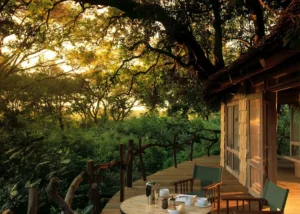 A Tree House in &Beyond Lake Manyara Tree Lodge in Lake Manyara National Park | Tanzania Safaris | Tanzania Holidays | The Ultimate Travel Company