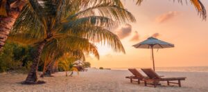 Tropical White Sand Beach with Palm Trees | Caribbean Holidays | The Ultimate Travel Company