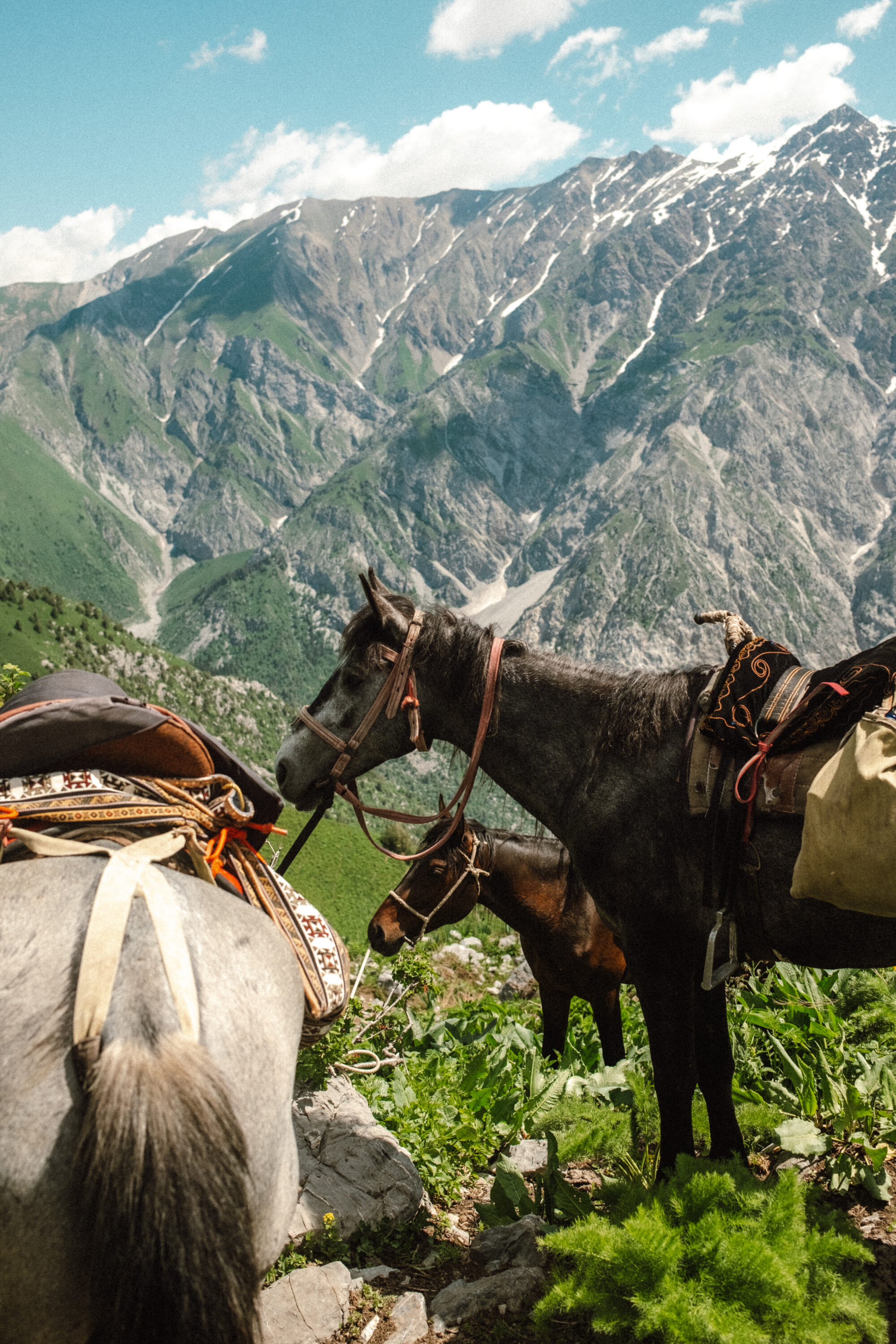 TUTC X Alexandra Tolstoy Kyrgyzstan Riding Adventure_5