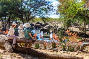 Family Watching Elephants on an African Safari Holiday | Luxury Africa Safaris | The Ultimate Travel Company