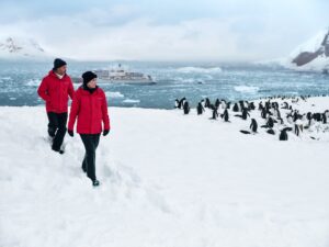 People Hiking Across Neko Harbour Aboard The Silver Endeavour, part of the Silversea Collection | Luxury Antarctica Cruises and Holidays | The Ultimate Travel Company