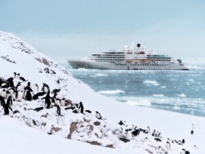 Penguin Colonies in Neko Harbour with The Silver Endeavour Behind, part of the Silversea Collection | Luxury Antarctica Cruises and Holidays | The Ultimate Travel Company