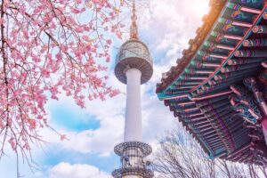 Seoul Tower in the Cherry Blossom Season | Luxury South Korea Holidays | The Ultimate Travel Company