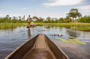 Canoeing,Traditional,Mokoro,Boats,On,The,Khwai,River,In,The