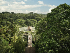 Four Seasons Resort Bali at Sayan Aerial View
