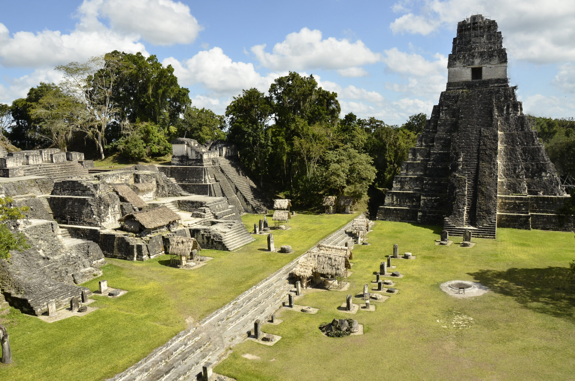 Ruins,Of,Tikal,Guatemala
