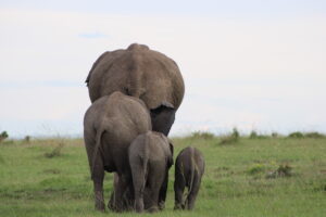 Photography Competition The Ultimate Travel Company