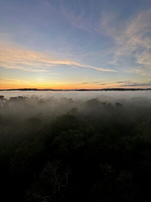 Amazon - Jonny The Ultimate Travel Company