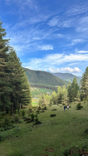 Gangtey Valley shot by Wahyu Kelsall