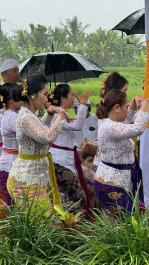 Balinese Ceremony by Matt Brazier The Ultimate Travel Company