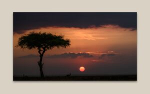 Sunset at Kicheche Bush camp