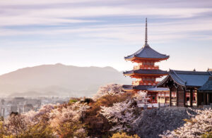 Sunset at Kiyomizu-dera Temple and cherry blossom season (Sakura) on spring time in Kyoto, Japan