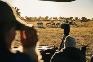 The Ultimate Travel Company